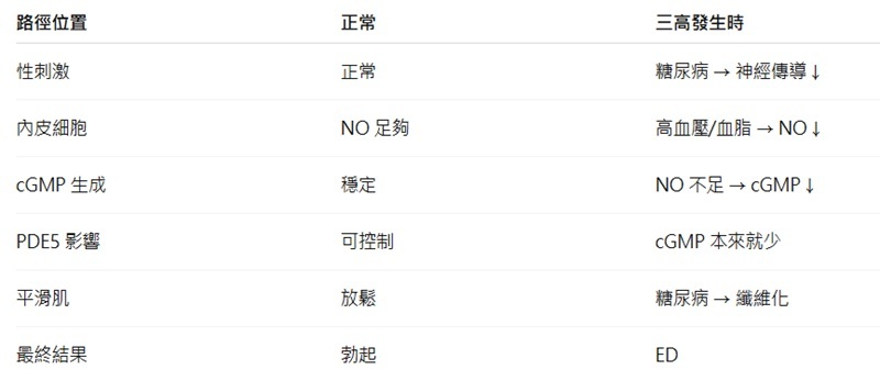 三高對勃起的影響表